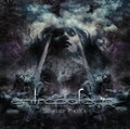 Beyond Phobia