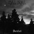 Darkfall (Demo 2011)