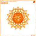 Sorrow (feat. Veritate)