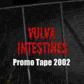 Vulva Intestines - Promo Tape (Release early 2002)
