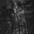 Raindrop EP
