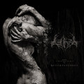 Liber Primus - Metempsychose