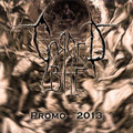 Promo 2013