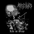 Life is Gray