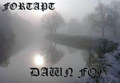 Dawn Fog