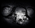 The Fallen