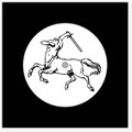 Headless Horseman 001