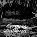 Groves of August