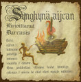 Synghynä aijcan