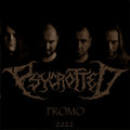 Promotion / Demo - 2022