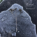 Winterhome EP I
