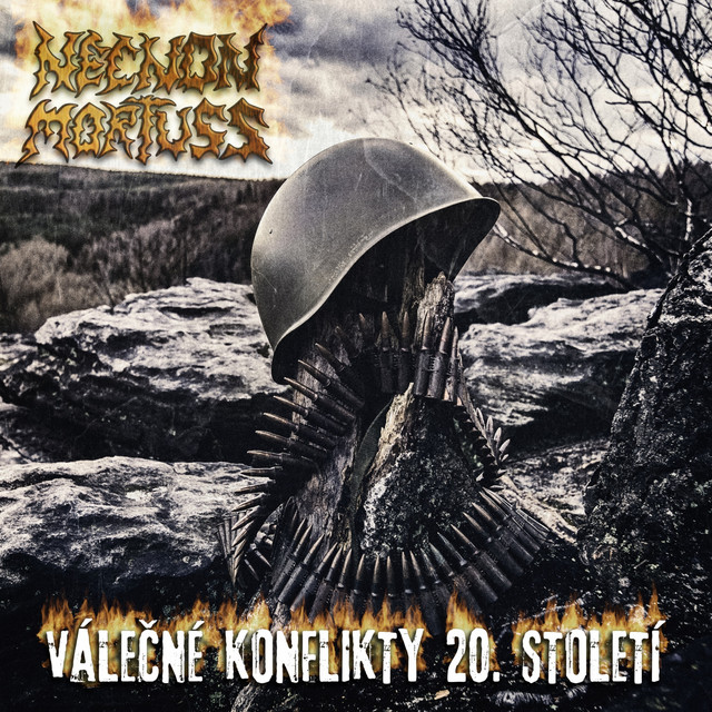 Válečné konflikty 20. Století