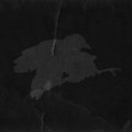 - (aka self-titled)