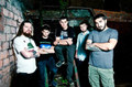 Decline, Single 2011