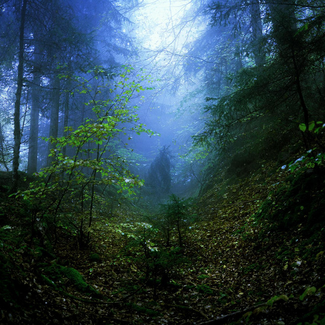 Gazing Light Eternity: Part 1 (The Gazer)