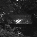 Cabin (ALBUM)