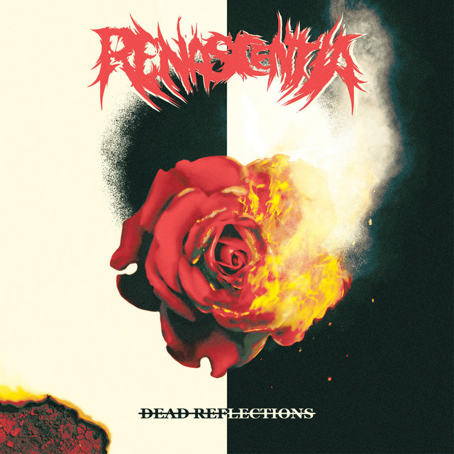 Dead Reflections