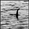 It came from the water..