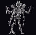 Haemophagus / Grind Crusher - split 7"