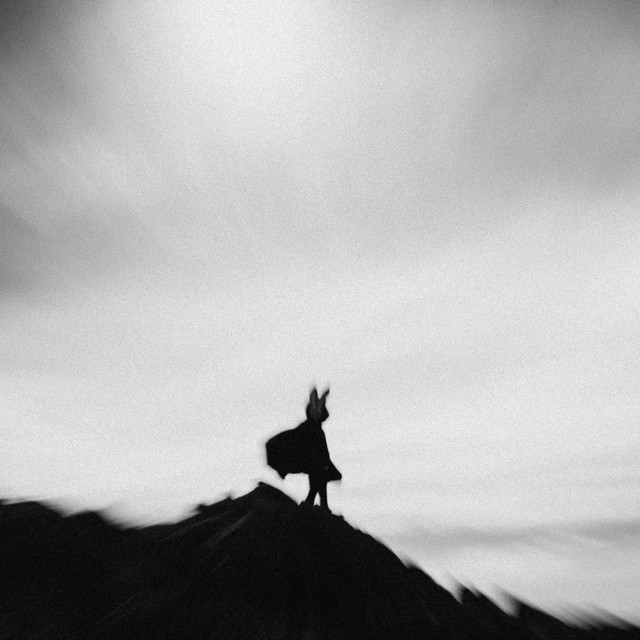 Wander