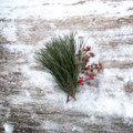 Imbolc-Winter