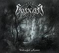 Unleashed Hymns