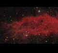 The Devil's Star