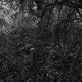 Isolation