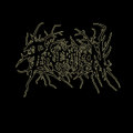 Songs from upcoming album