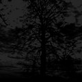 Demo Session - VI - Rebirth Ritual in C Minor