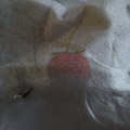 STRAWBERRY SEASON