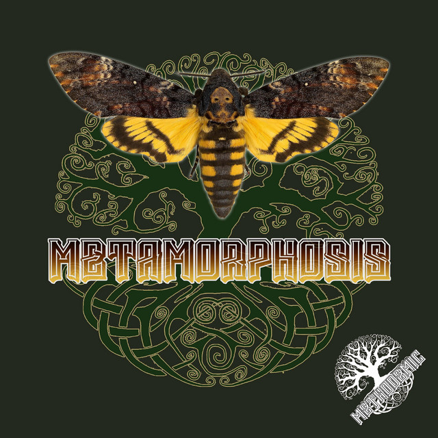 Metamorphosis
