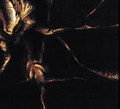 θ