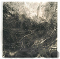 The Creeper Grows EP - FVTD 006