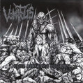 Surgical Abominations of Disfigurement