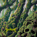 Granite Forest