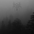 Mist