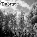 Yule Forest