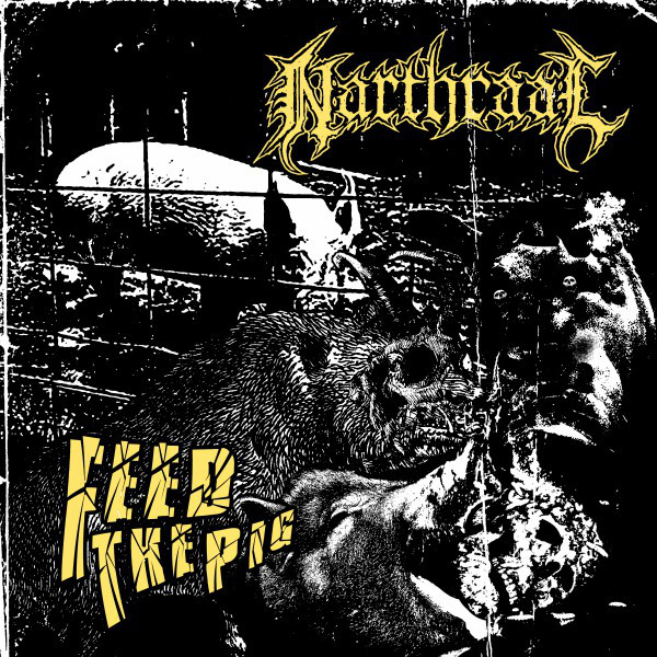 Feed the Pig