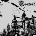 In The Shadow Of The Nightfall (EP)