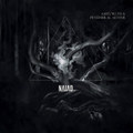 NAIAD