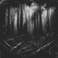 The Forest