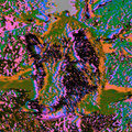 The Boar Song EP