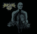 VEGETATIVE STATE OF CHAOS