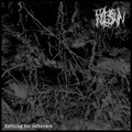 Frogskin/Taser split LP