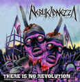 There is No Revolution