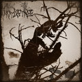 Not Last Rise (Demo)