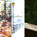Weather