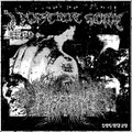 PURE HATE 000 - A DISTANT HOWL