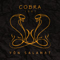 Yön salamat